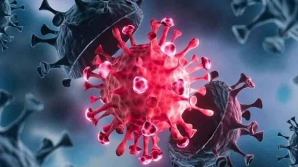 সাতক্ষীরায় আরো ২ জনের করোনা শনাক্ত