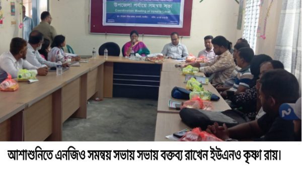 আশাশুনিতে এনজিও সমন্বয় সভা অনুষ্ঠিত